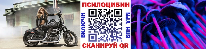 Псилоцибиновые грибы GOLDEN TEACHER  Краснозаводск 